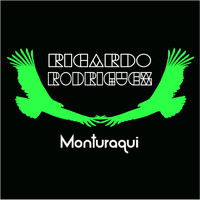 Ricardo Rodriguez - An Endless Stream Of Joy