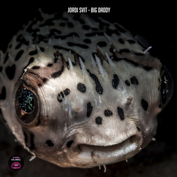 Jordi Svit - Big Daddy