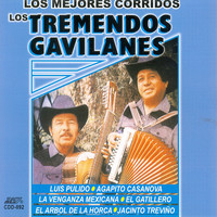 Los Tremendos Gavilanes - Los Mejores Corridos