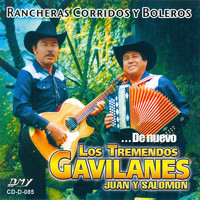 Los Tremendos Gavilanes - Rancheros Corridos Y Boleros De Nuevo
