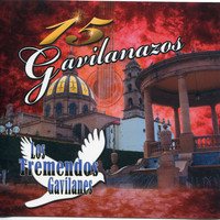 Los Tremendos Gavilanes - 15 Gavilanazos