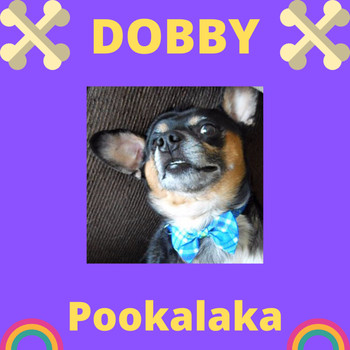 Andy Garrett - Dobby - Pookalaka