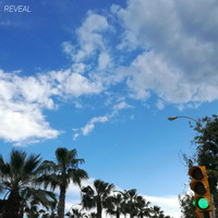 Reveal - Free Life (Explicit)