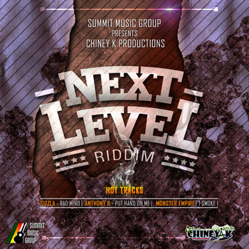 Various Artists - Next Level Riddim