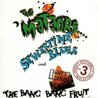The Meteors - Sewertime Blues and Don't Touch The Bang Bang Fruit (Explicit)