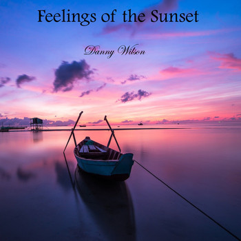 Danny Wilson - Feelings of the Sunset