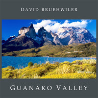 David Bruehwiler - Guanako Valley