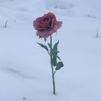 Huug - Snow Rose (Explicit)
