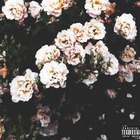 Shinigami - Faded (Explicit)