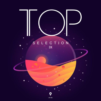 Various Artists, Array - TOP Selection IX