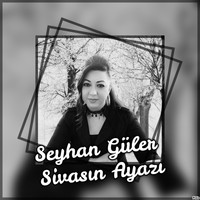 Seyhan Güler - Sivas'ın Ayazı