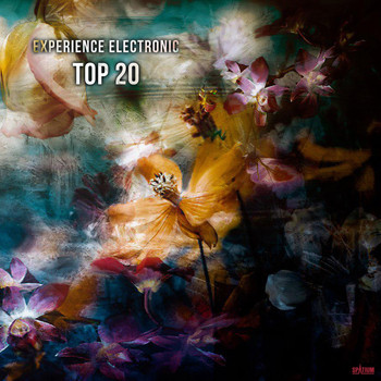 Various Artists - Experience Electronic Top 20