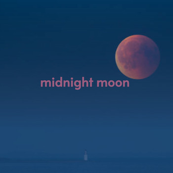 Various Artists - Midnight Moon