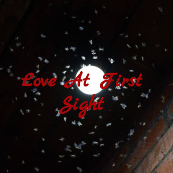 Various Artists - Love at First Sight
