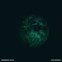 Diamond Thug - The Woods