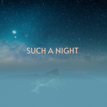 Various Artists - Such Night