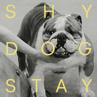 Shy Dog - Stay