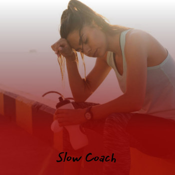 Various Artists - Slow Coach