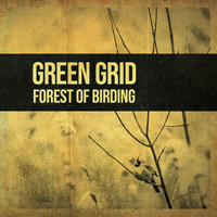 Green Grid - Forest of Birding