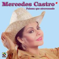Mercedes Castro - Paloma Que Atravesando