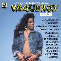 Vaquero's Musical - Lo Mejor De Vaquero's Musical
