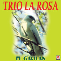 Trio La Rosa - El Gavilán