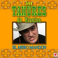Los Tahures de Sinaloa - El Mero Mandón