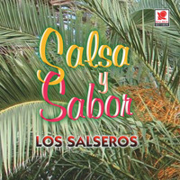 Los Salseros - Salsa Y Sabor