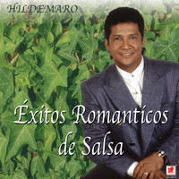 Hildemaro - Éxitos Románticos De Salsa