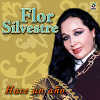 Flor Silvestre - Hace Un Año
