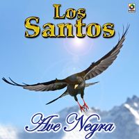 Los Santos - Ave Negra
