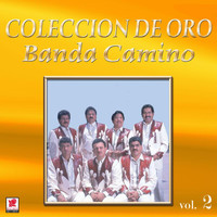 Banda Camino - Colección De Oro, Vol. 2