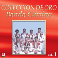 Banda Camino - Colección De Oro, Vol. 1