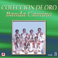 Banda Camino - Colección De Oro, Vol. 3