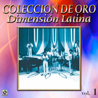 Dimension Latina - Colección De Oro: A Bailar La Salsa Con Dimensión Latina, Vol. 1