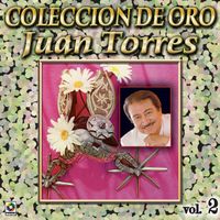 Juan Torres - Colección De Oro: Organo Y Mariachi, Vol. 2