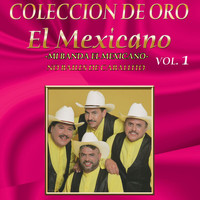 Mexicano - Colección De Oro, Vol. 1: No Bailes De Caballito