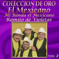 Mexicano - Colección De Oro, Vol. 2: Ramito De Violetas