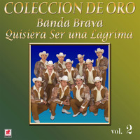 Banda Brava - Colección De Oro, Vol. 2: Quisiera Ser Una Lágrima