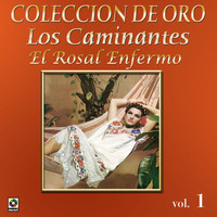 Los Caminantes - Colección De Oro: La Trova Yucateca, Vol. 1