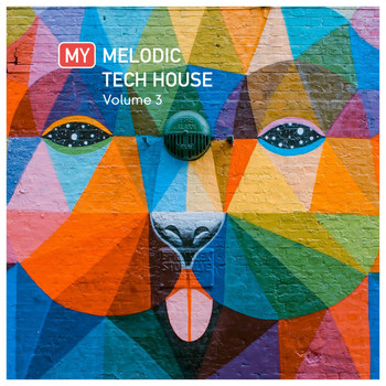 Various Artists - My Melodic Tech House Vol. 3