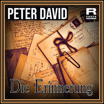 Peter David - Die Erinnerung