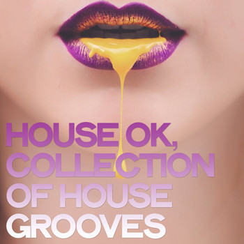 Various Artists - House Ok (Collection of House Grooves)