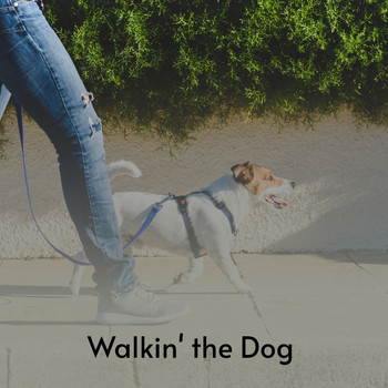 Various Artists - Walking the Dog