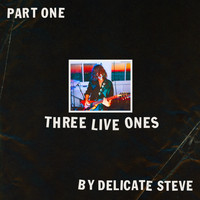 Delicate Steve - Three Live Ones