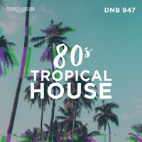 Brian Thomas Curtin - 80S Tropical House