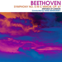 Hans Swarowsky - Beethoven: Symphony No. 5
