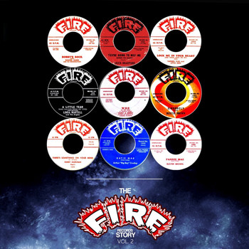 Various Artists - The Fire Records Story, Vol, 2