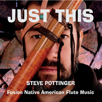 Steve Pottinger - Just This