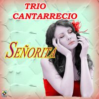 Trío Cantarrecio - Señorita